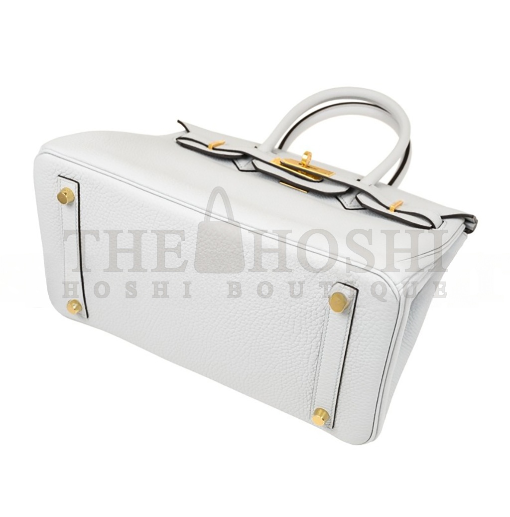 H**me5 BIRKIN 25 TOGO LEATHER HOLY GRAIL BLUE GOLD BUCKLE BAG H028369CC08 (25*20*13cm) Master Quality